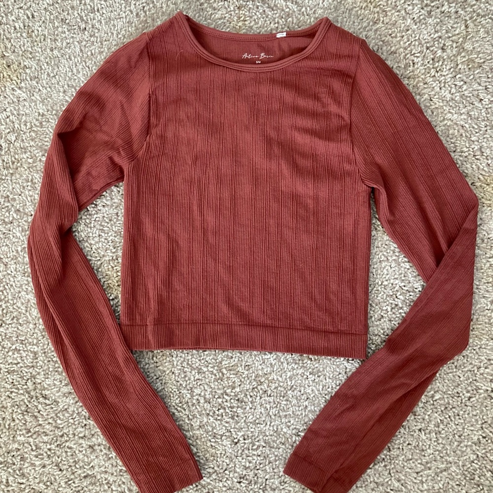 Bobbie rust long sleeved crop top